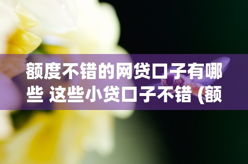 额度不错的网贷口子有哪些 这些小贷口子不错 (额度高的网贷平台)