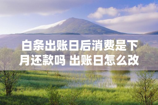 白条出账日后消费是下月还款吗 出账日怎么改 (白条出账后再使用什么时候还)