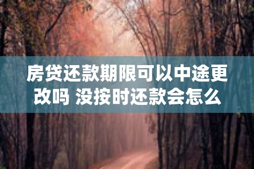 房贷还款期限可以中途更改吗 没按时还款会怎么样 (房贷还款期限可以改吗现在)