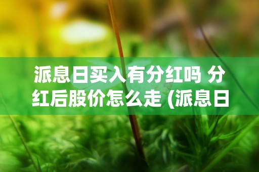 派息日买入有分红吗 分红后股价怎么走 (派息日买进)