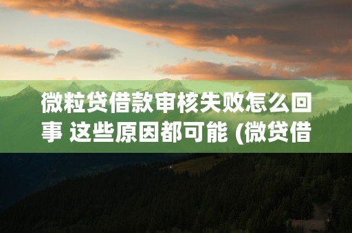 微粒贷借款审核失败怎么回事 这些原因都可能 (微贷借款是正规贷款吗)