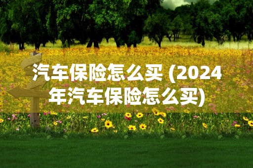 汽车保险怎么买 (2024年汽车保险怎么买)