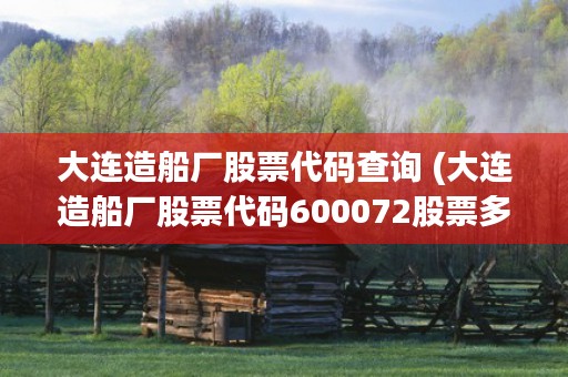 大连造船厂股票代码查询 (大连造船厂股票代码600072股票多少钱每股)