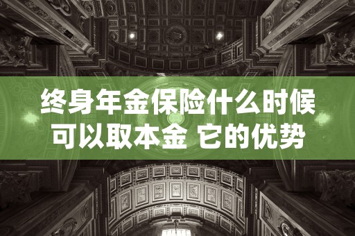 终身年金保险什么时候可以取本金 它的优势有什么 (终身年金保险什么意思啊)