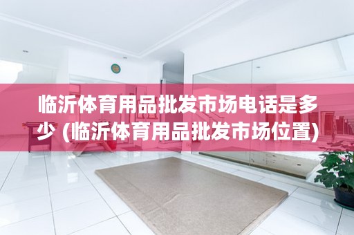 临沂体育用品批发市场电话是多少 (临沂体育用品批发市场位置)