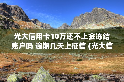 光大信用卡10万还不上会冻结账户吗 逾期几天上征信 (光大信用卡10万积分能换多少现金)