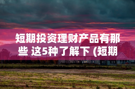 短期投资理财产品有那些 这5种了解下 (短期投资理财产品的优缺点)