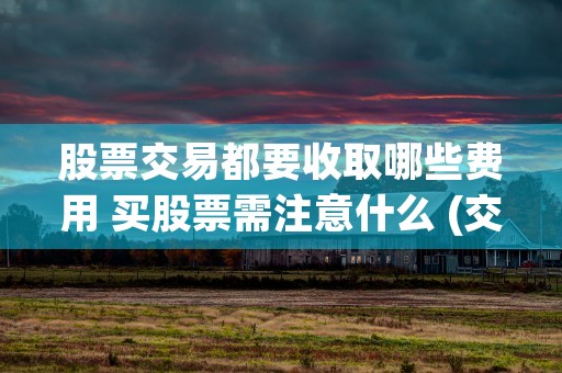 股票交易都要收取哪些费用 买股票需注意什么 (交易股票需要支付的费用)