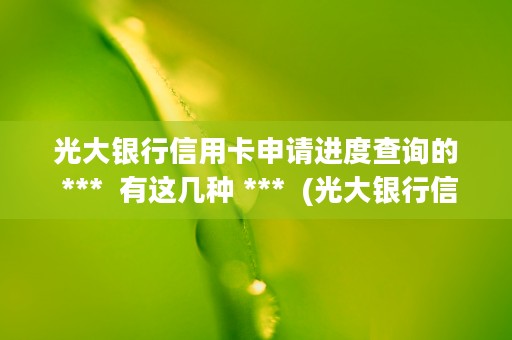 光大银行信用卡申请进度查询的 ***  有这几种 ***  (光大银行信用卡申请多久能下来)