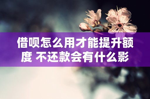 借呗怎么用才能提升额度 不还款会有什么影响 (借呗怎么用才能提额)