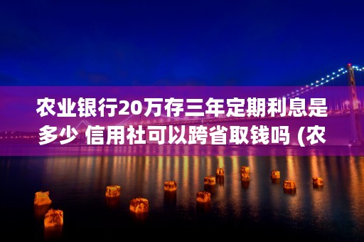 农业银行20万存三年定期利息是多少 信用社可以跨省取钱吗 (农业银行20万存款利率)