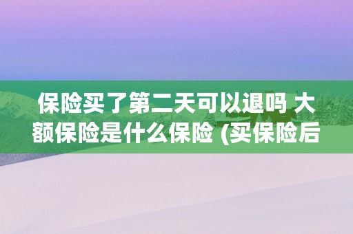 保险买了第二天可以退吗 大额保险是什么保险 (买保险后第二天就开始生效吗?)