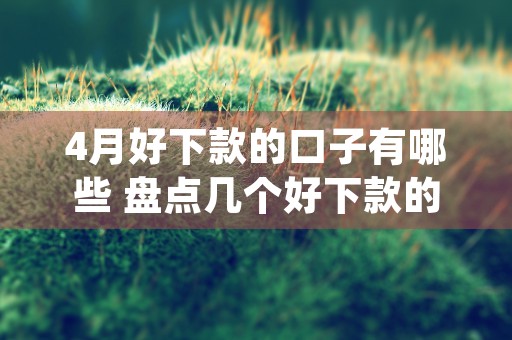 4月好下款的口子有哪些 盘点几个好下款的口子 (2024年4月好下款的口子)