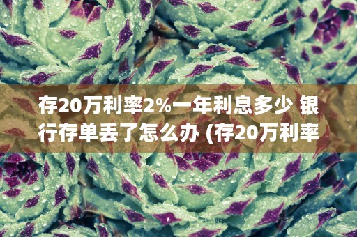 存20万利率2%一年利息多少 银行存单丢了怎么办 (存20万利率2.6三年多少钱)