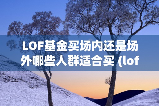 LOF基金买场内还是场外哪些人群适合买 (lof基金场内申购和买入区别)