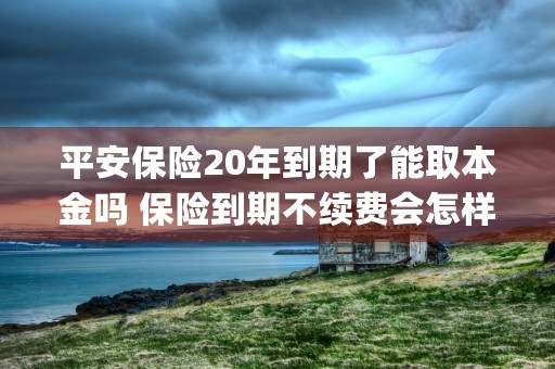 平安保险20年到期了能取本金吗 保险到期不续费会怎样 (平安保险20年到期后一次性领取)