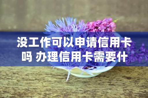 没工作可以申请信用卡吗 办理信用卡需要什么条件 (没工作可以申请信用卡停息挂帐吗知乎)