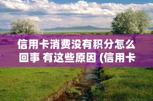 信用卡消费没有积分怎么回事 有这些原因 (信用卡消费利息可以追回吗)