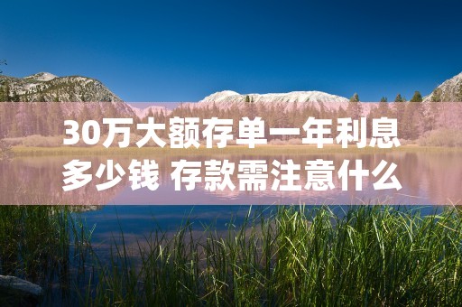 30万大额存单一年利息多少钱 存款需注意什么 (30万大额存单一年利息多少钱啊)