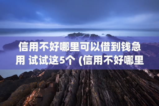 信用不好哪里可以借到钱急用 试试这5个 (信用不好哪里可以借1000)