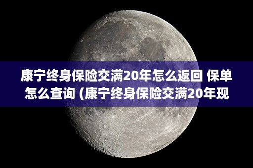 康宁终身保险交满20年怎么返回 保单怎么查询 (康宁终身保险交满20年现金价值表)