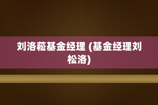 刘洛菘基金经理 (基金经理刘松洛)