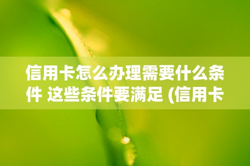 信用卡怎么办理需要什么条件 这些条件要满足 (信用卡怎么办理需要什么条件知乎)