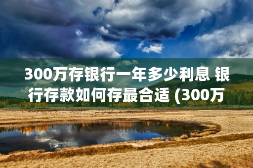 300万存银行一年多少利息 银行存款如何存最合适 (300万存银行一月利息多少钱)