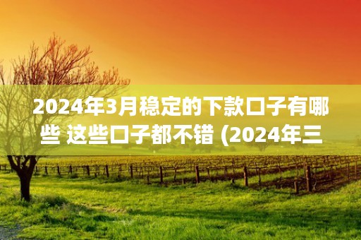 2024年3月稳定的下款口子有哪些 这些口子都不错 (2024年三月)