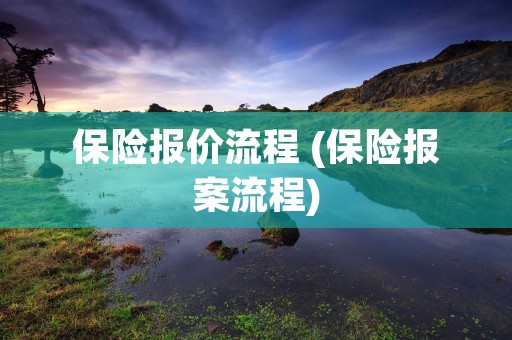 保险报价流程 (保险报案流程)