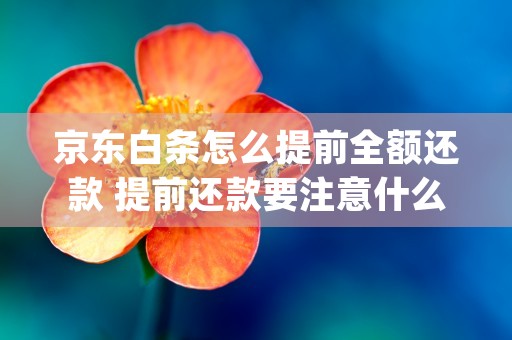 京东白条怎么提前全额还款 提前还款要注意什么 (京东白条怎么还款)