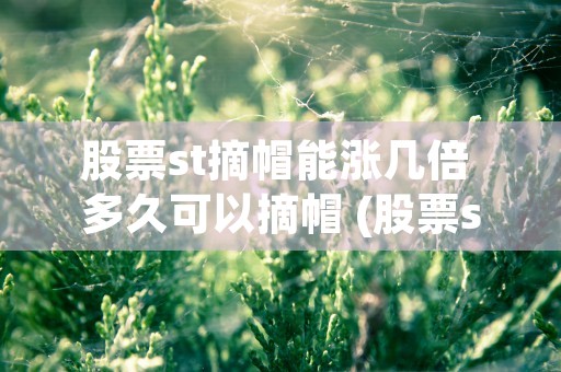 股票st摘帽能涨几倍 多久可以摘帽 (股票st后多久可以摘帽)