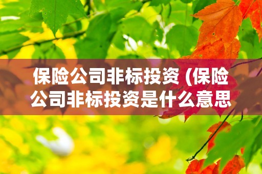 保险公司非标投资 (保险公司非标投资是什么意思)