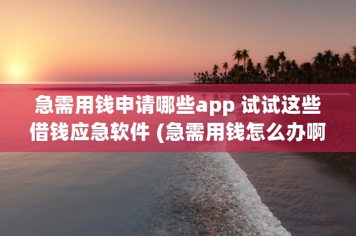 急需用钱申请哪些app 试试这些借钱应急软件 (急需用钱怎么办啊)