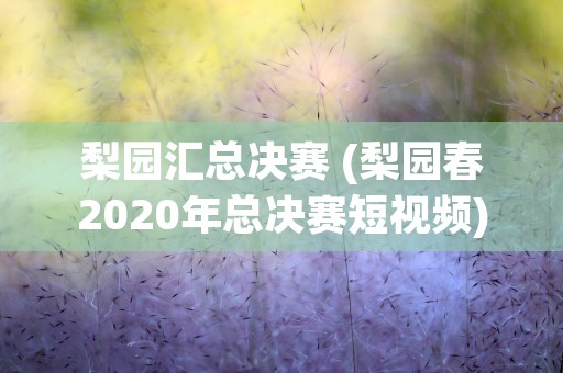 梨园汇总决赛 (梨园春2020年总决赛短视频)