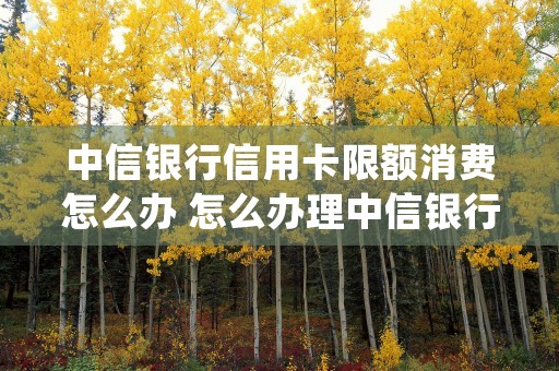 中信银行信用卡限额消费怎么办 怎么办理中信银行信用卡 (中信银行信用卡限时领取固定额度)