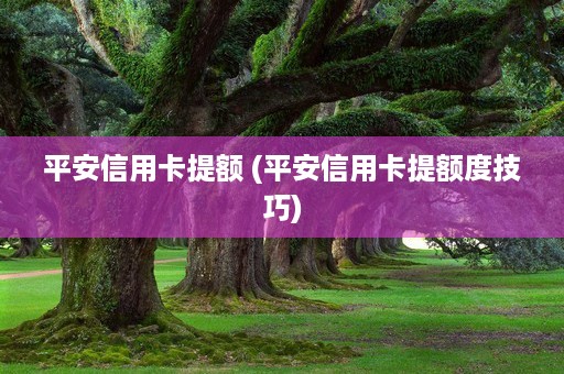 平安信用卡提额 (平安信用卡提额度技巧)