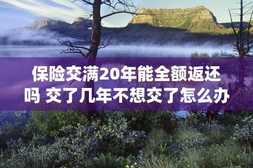 保险交满20年能全额返还吗 交了几年不想交了怎么办 (保险交满20年能全额返还吗)