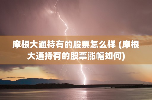 摩根大通持有的股票怎么样 (摩根大通持有的股票涨幅如何)