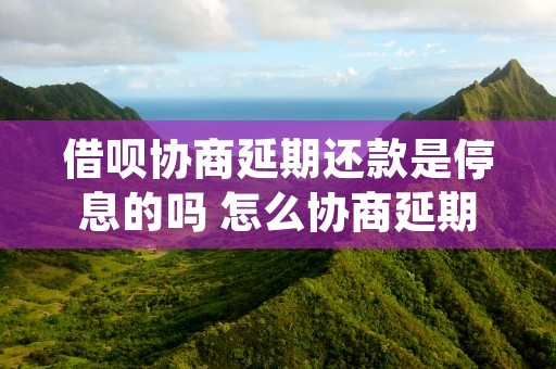 借呗协商延期还款是停息的吗 怎么协商延期还款 (怎么跟借呗协商延期还款)