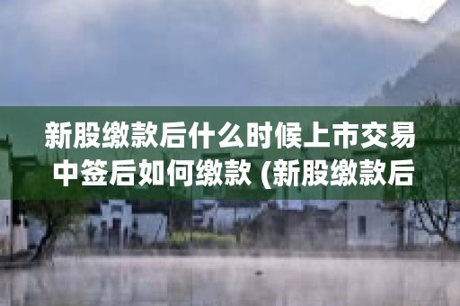 新股缴款后什么时候上市交易 中签后如何缴款 (新股缴款后什么时候上市交易)