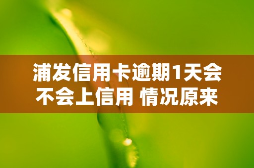 浦发信用卡逾期1天会不会上信用 情况原来是这样的 (浦发信用卡逾期10天会不会影响信用度)