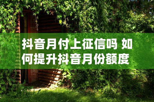 抖音月付上征信吗 如何提升抖音月份额度 (抖音月付上征信吗算是贷款么)