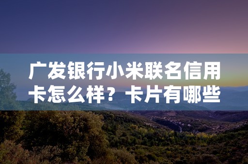 广发银行小米联名信用卡怎么样？卡片有哪些权益？ (广发银行小米联名信用卡)