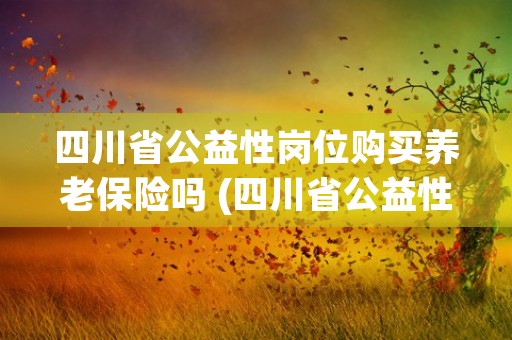 四川省公益性岗位购买养老保险吗 (四川省公益性岗位开发管理办法)