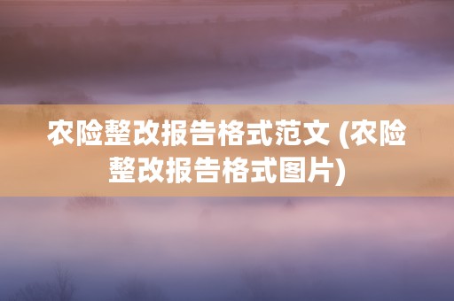 农险整改报告格式范文 (农险整改报告格式图片)