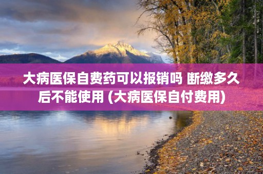 大病医保自费药可以报销吗 断缴多久后不能使用 (大病医保自付费用)