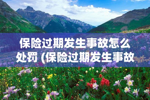 保险过期发生事故怎么处罚 (保险过期发生事故有双倍法款吗)