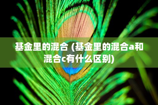 基金里的混合 (基金里的混合a和混合c有什么区别)