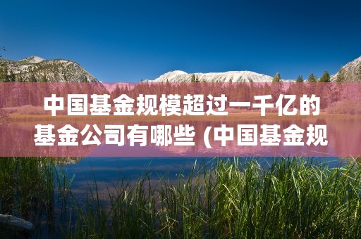 中国基金规模超过一千亿的基金公司有哪些 (中国基金规模超过多少亿)